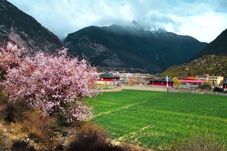 手机摄影-华为-旅拍-旅行-风光 图片素材