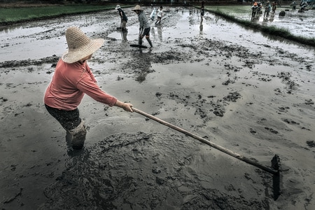 春天-生活-影-线条-人间百味 图片素材