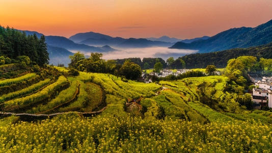 旅行-婺源-风光-风景-油菜花 图片素材