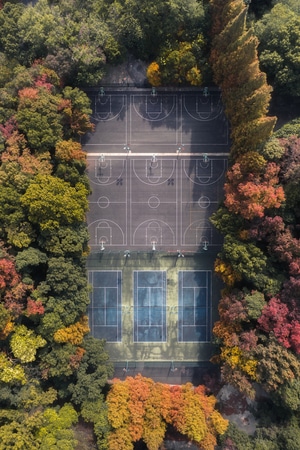 冬日暖阳-色彩-树木-杭州-森林 图片素材