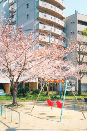 城市-街道-日本-旅行-旅拍 图片素材