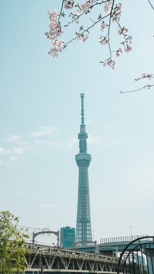 风光-旅行-日系-塔-晴空塔 图片素材