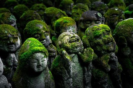 京都-绿色-日系-旅拍-旅行 图片素材