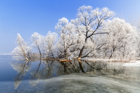 风光-风景-翠屏湖-雾凇-风景 图片素材