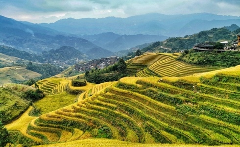 山峦-每日一图成长计划-风景-美景-梯田 图片素材
