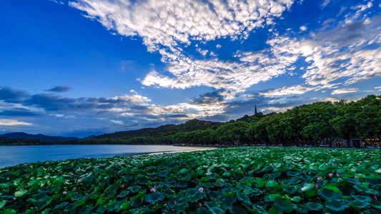美景-风光-风景-杭州-西湖 图片素材