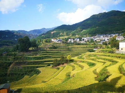 7日打卡挑战-风景-美景-城市-每日一图成长计划 图片素材
