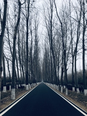 宅家-北京-道路-马路-公路 图片素材