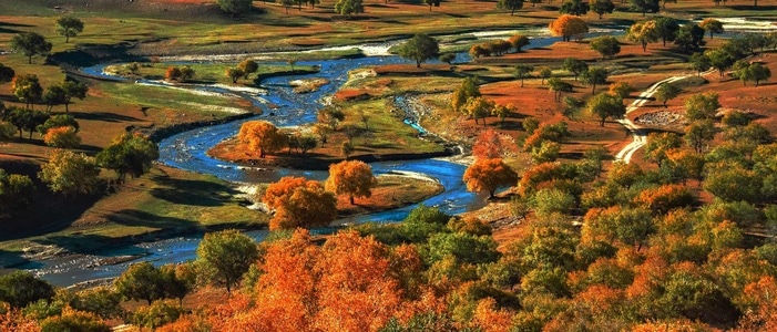 草原-金秋-风光-乌兰布统-风景 图片素材