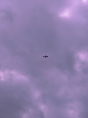 紫色-菠萝-天空-记忆-天空 图片素材