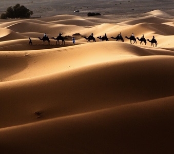 摩洛哥-撒哈拉-沙漠-三毛-自然 图片素材