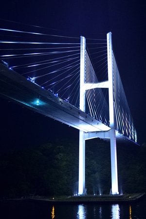 桥-长崎跨海大桥局部-桥-桥梁-建筑 图片素材
