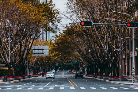 你好2020-lr调色-风景-街道-汽车 图片素材