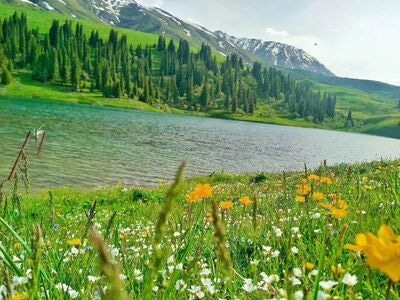 新疆-深度游-原始森林-旅拍-绿湖 图片素材
