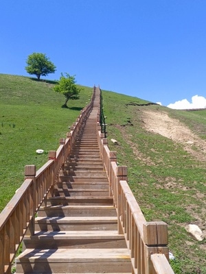 新疆-疆来遇见-旅行-旅拍-中华福寿山 图片素材