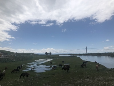 伊犁哈萨克自治州-新疆-伊宁-将军府-旅行 图片素材