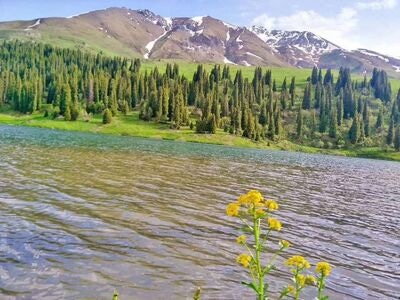 新疆-深度游-原始森林-旅拍-绿湖 图片素材