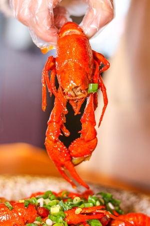美食-小龙虾-食物-凉面-蒜蓉 图片素材