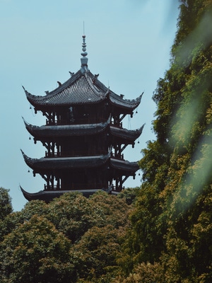 楼-秋-成都-胶片感-阳光 图片素材