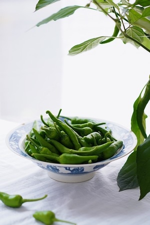 静物-植物-辣椒-食物-青椒 图片素材