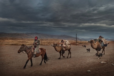 我要上封面-尼康相机-新疆人文-哈萨克族-动物 图片素材