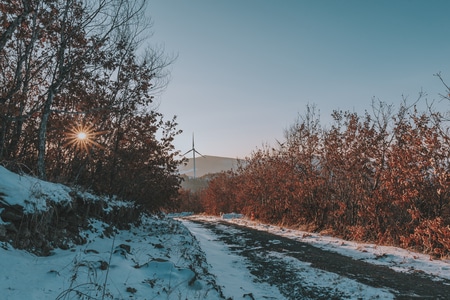 色彩-小光圈-风光-雪-雪景 图片素材