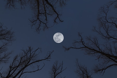 月亮-元宵节-后期-创意-月亮 图片素材