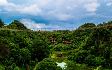 夏天-旅行-自然-风景-树木 图片素材