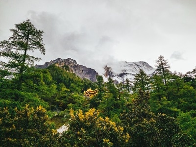 稻城亚丁-旅行-风景-风光-自然 图片素材
