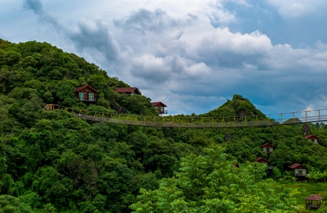 夏天-旅行-自然-风景-树木 图片素材
