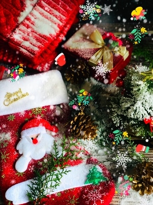 静物-礼物-圣诞帽-松果-圣诞树 图片素材