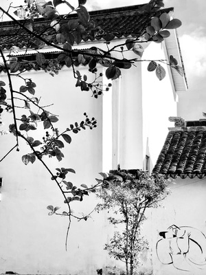 旅拍-建筑-房屋-屋檐-屋顶 图片素材