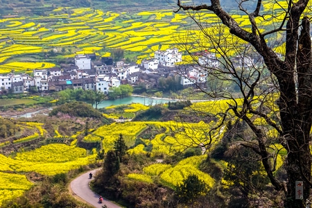 每日一图-田地-田野-田园-风景 图片素材