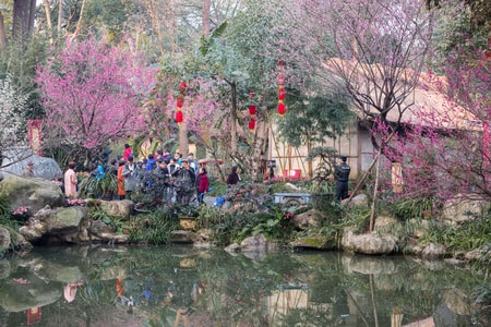 杜甫草堂博物馆-梅花-风景如画-春天来了-杜甫草堂博物馆 图片素材
