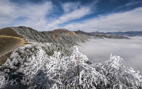 生态-旅拍-雪景-巅峰-晨光 图片素材