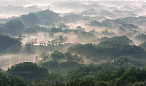 风光-风景-生态-晨光-春色 图片素材