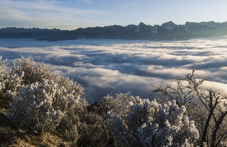 生态-风光-达瓦更扎日出-雪山风光-川西美景 图片素材