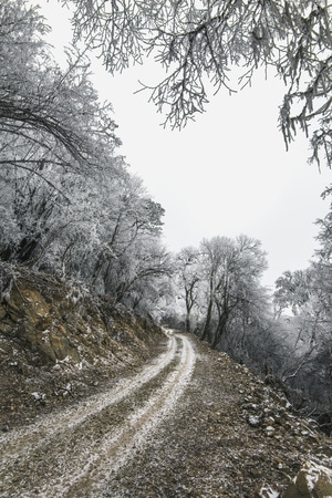 达瓦更扎-雪山-雪景-风光-风景 图片素材