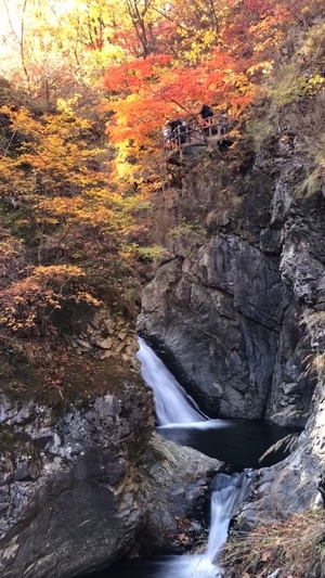 秋天-枫叶-本溪-岩石-枫树 图片素材