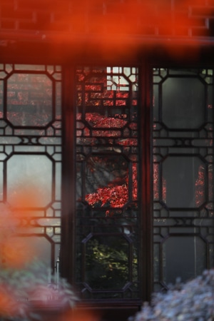枫叶-秋天-园林-建筑-木窗 图片素材