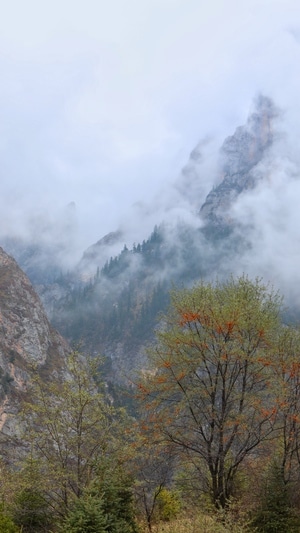 甘南-扎尕那-扎尕那-风景-山 图片素材
