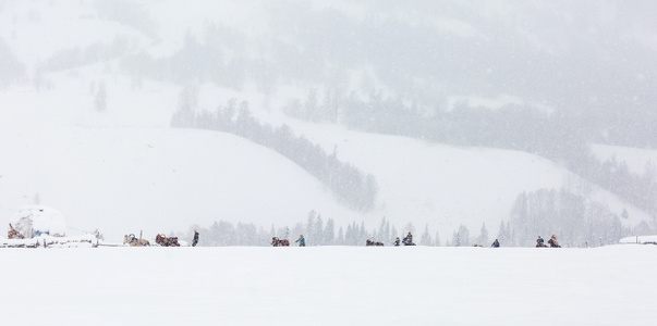 雪世界-不一样的冰雪世界-白色世界的美-风光-风景 图片素材
