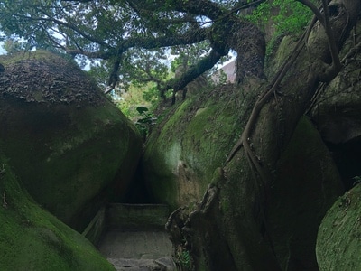 寺庙-禅意-自然-森林-风景 图片素材
