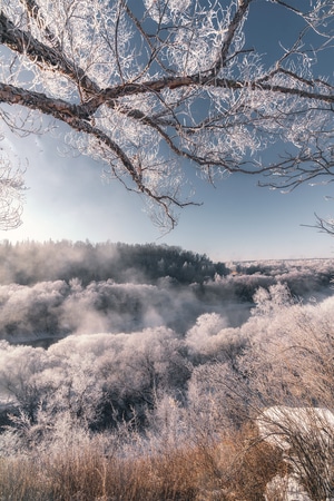 雪-雾凇-不冻河-雪景-雾凇 图片素材