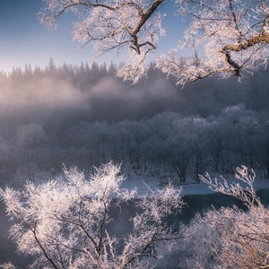 雪-河-雾凇-雪-雪景 图片素材