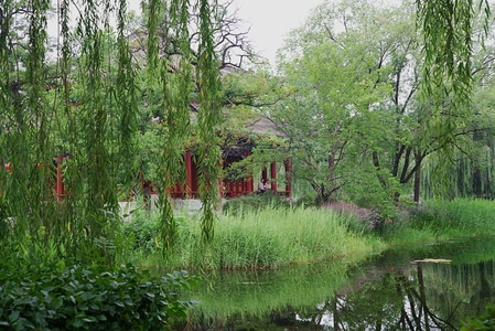 风光-北京-圆明园-荷花-圆明园 图片素材