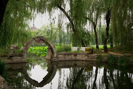 风光-北京-圆明园-荷花-圆明园 图片素材