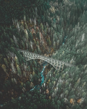 桥-风光-海外-西雅图-自然 图片素材