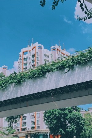 色彩-抓拍-城市-广州-光影 图片素材