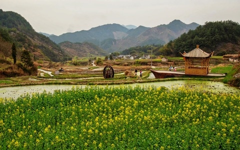 摄影-风光-风景-风光-田园 图片素材
